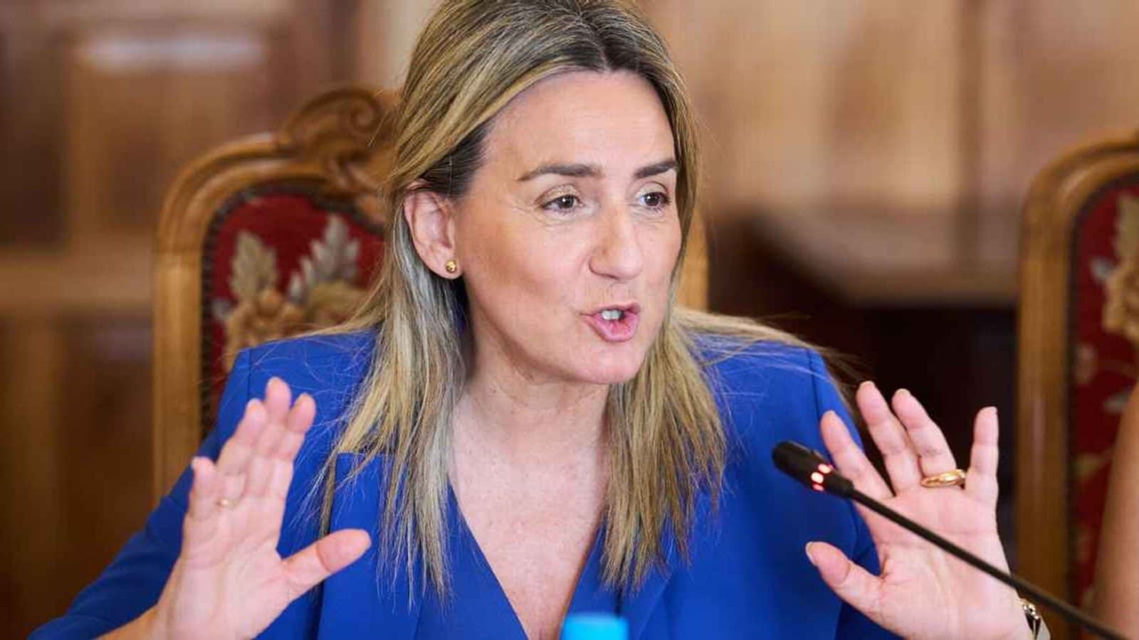 La ministra de Deportes, Milagros Tolón, gesticula con ambas manos mientras habla sentada a una mesa, con una americana azul.