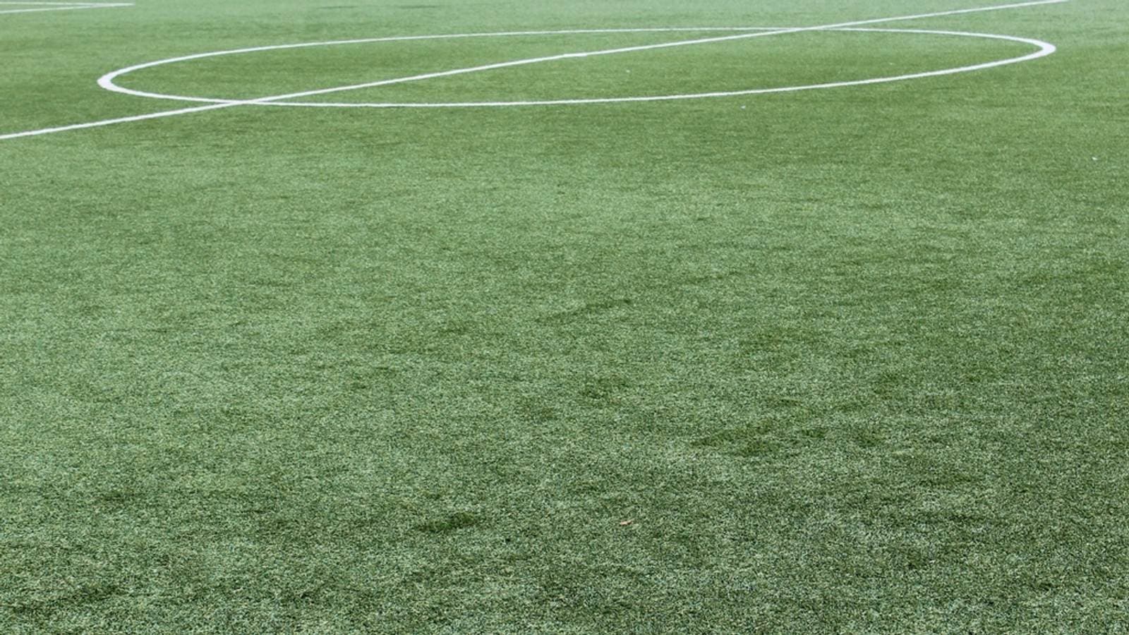 Free soccer field lines closeup. Fotografia de archivo.