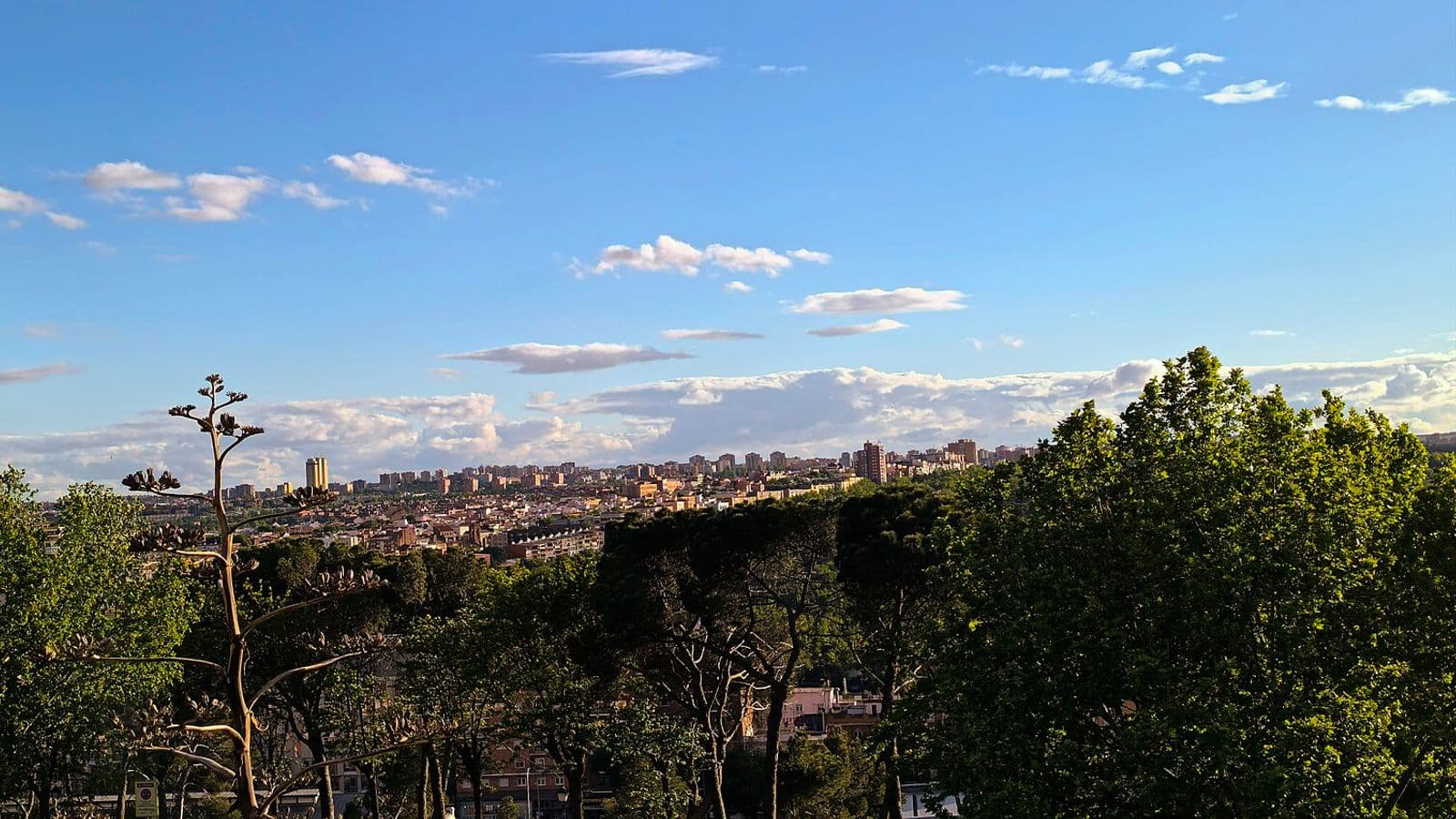 Madrid city top view. Fotografia de archivo.