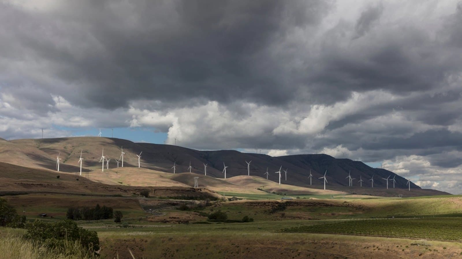Wind turbines Columbia River Valley. File photograph.