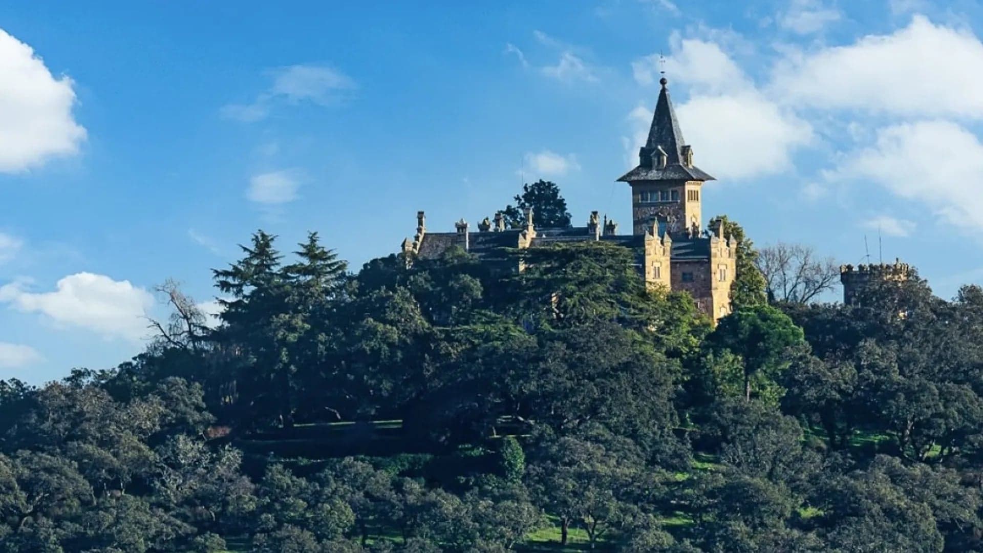 Vista de un pueblo español con un castillo antiguo sobre una colina rodeada de arboles